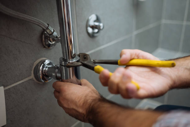 Best Clogged Drain Plumber  in Hollidaysburg, PA